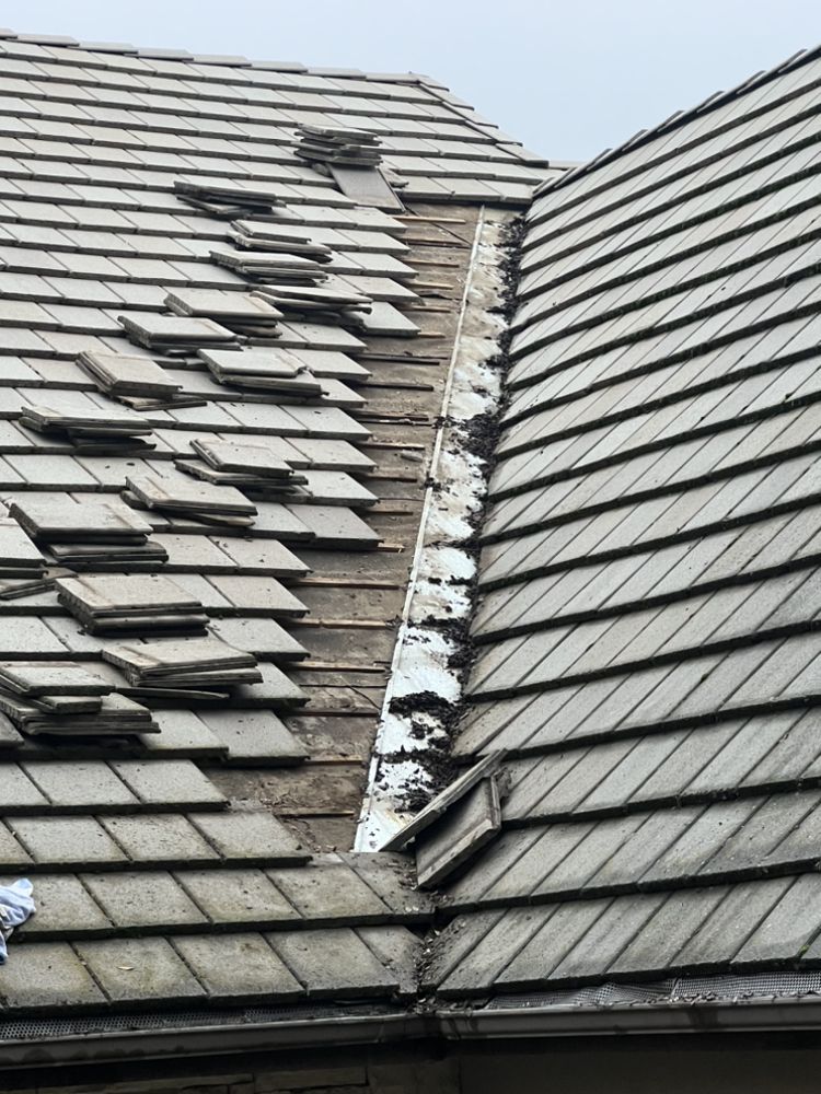 Slide of Integrity roofing