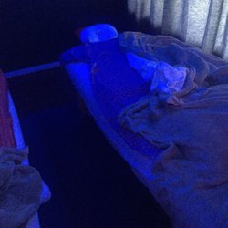 Violet Blossom Massage