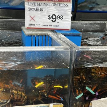 99 RANCH MARKET - Updated July 2025 - 821 Photos & 127 Reviews - 10780 ...