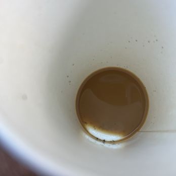 Knots Coffee Roasters - Coffee & Tea Near Me - Honolulu, Hawaii Knots Coffee Roasters - Coffee & Tea Near Me - Honolulu, Hawaii