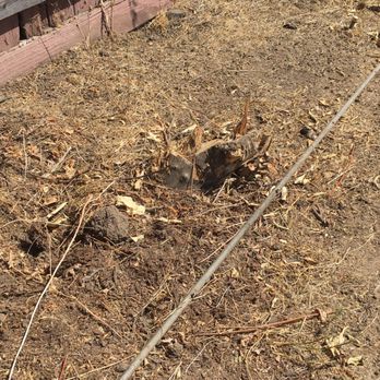 Bracken's Landscaping - Landscaping Near Me - adelanto, California Bracken's Landscaping - Landscaping Near Me - adelanto, California