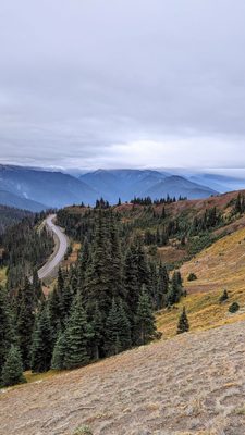 Hurricane Ridge by null