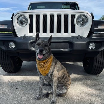 Hanania Chrysler Dodge Jeep Ram - Jeep, Jeep Wrangler, jeep pup, dog - Car Dealers Near Me - St. Augustine, Florida Hanania Chrysler Dodge Jeep Ram - Jeep, Jeep Wrangler, jeep pup, dog - Car Dealers Near Me - St. Augustine, Florida