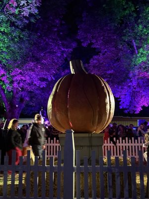 Spirit Of Halloweentown by null