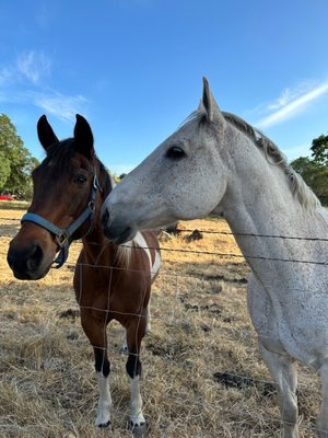 Beltane Ranch by null