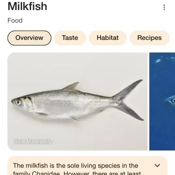 Tambayan Filipino Eatery - Milk fish info - Filipino Near Me - Larkfield-wikiup, California Tambayan Filipino Eatery - Milk fish info - Filipino Near Me - Larkfield-wikiup, California