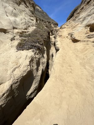 La Jolla Trail by null