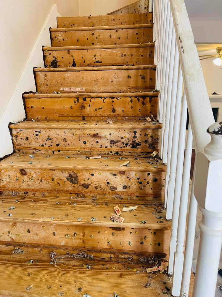 Slide of Rosario Remodeling