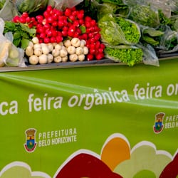 Anchieta Garden Shopping - Feira Orgância