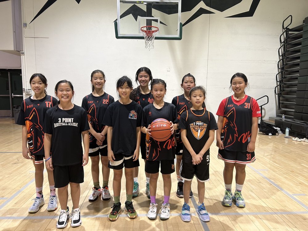 3 Point Basketball Academy Logo