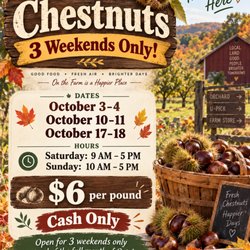 U-Pick Chestnuts - COME VISIT OCTOBER 3,2026!