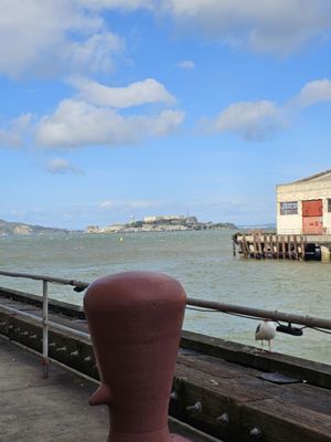 Fort Mason Center for Arts & Culture by null
