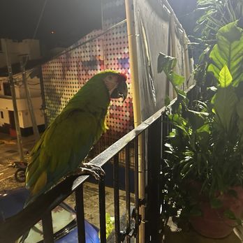 Sí Señor - Mexican Near Me - Puerto Vallarta, JAL