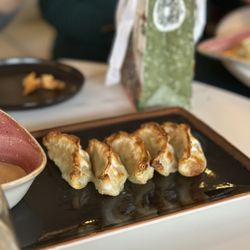 ZOOZ Cocktail Garden - Gyoza ($15) - they are smaller than you can imagine