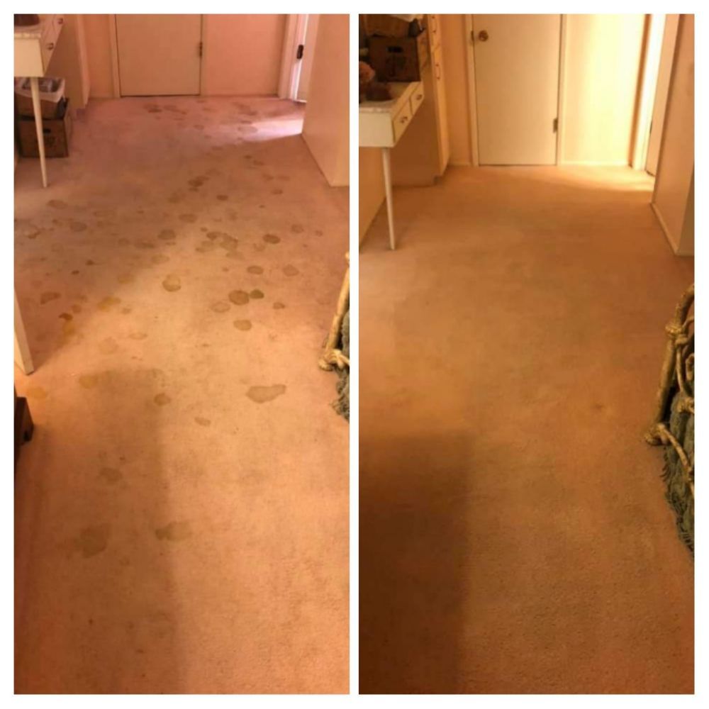 Ultra Brite Carpet Cleaning Carlsbad Ca United States