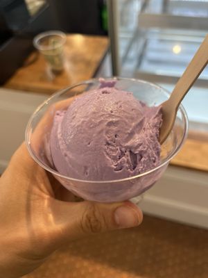 Noona's Ice Cream by null