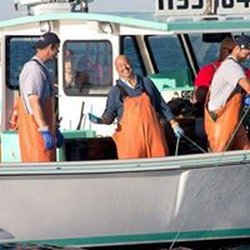 Patriot Seafood - Chris Porter with Andrew Zimmern from Bizarre Foods America during the filming of the Boston episode