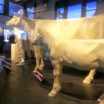 Ohio State Fair - Life-size cow & calf made of butter! - Festivals Near Me - Columbus, Ohio Ohio State Fair - Life-size cow & calf made of butter! - Festivals Near Me - Columbus, Ohio