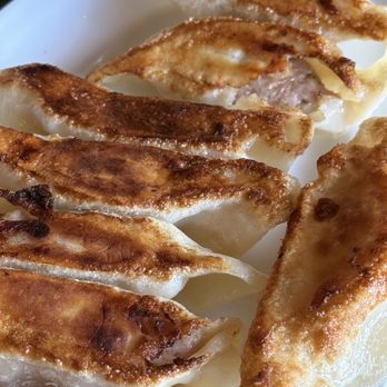 Dumpling Inn - Pork Pot Stickers - Chinese Near Me - San Diego, California Dumpling Inn - Pork Pot Stickers - Chinese Near Me - San Diego, California