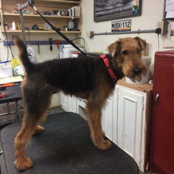 Trueheart Kennel - Beautifully done Karla...thanks! W - Pet Sitting Near Me - Farmville, Virginia Trueheart Kennel - Beautifully done Karla...thanks! W - Pet Sitting Near Me - Farmville, Virginia