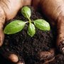 Photo of Compost Del Rio Grande