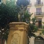 Photo of Plaza de Negrito