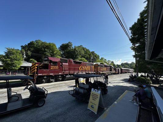 Great Smoky Mountains Railroad by null
