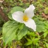 Powell Butte Nature Park gift card