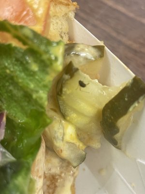 Portillo's Homewood by null
