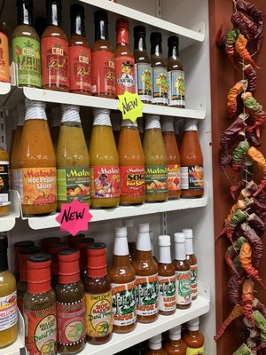 The Famous Tomato by null