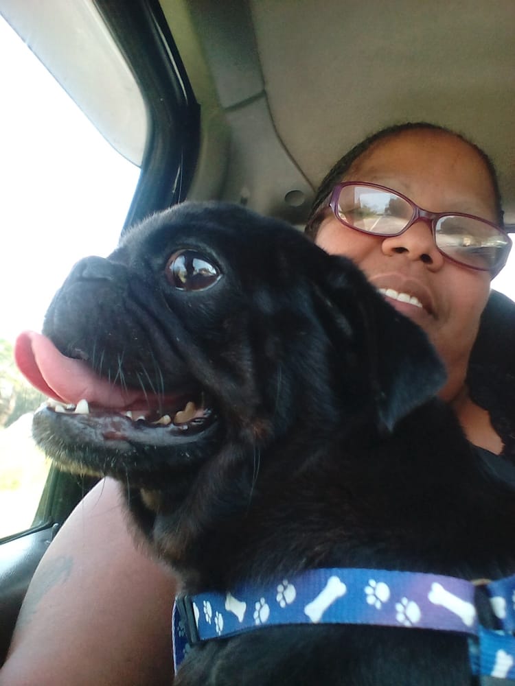 SUWANNEE OAKS ANIMAL CLINIC Updated September 2024 25670 Hwy 247