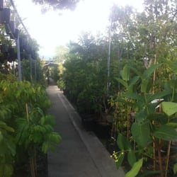 Temple Garden Center