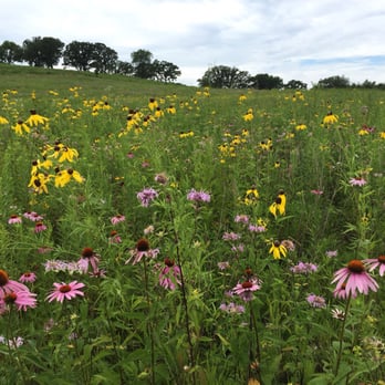 Pheasant Branch Conservancy - Wild flowers bloom all summer long. - Hiking Near Me - Middleton, Wisconsin