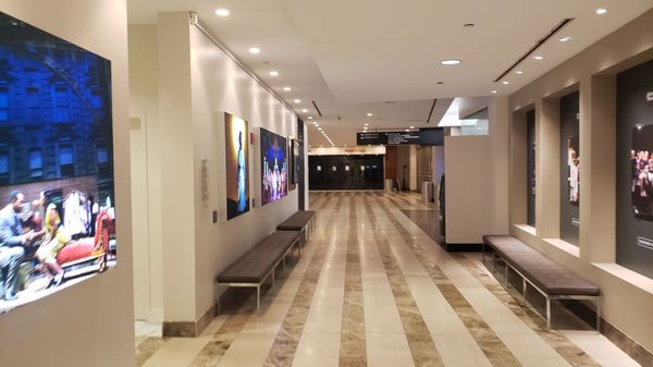 Atlanta Symphony Orchestra by null