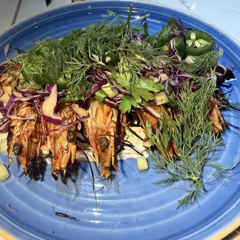 Mia’s - Mediterranean Near Me - Solana Beach, California
