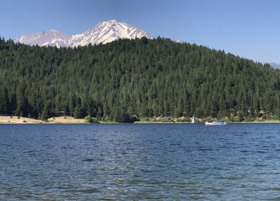 Lake Siskiyou Camp Resort 188 Photos 172 Reviews Parks