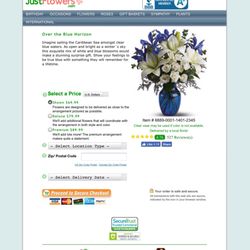 Magnolia Tree - The blue vase is what I ordered and the flowers with the carnations is what was sent.