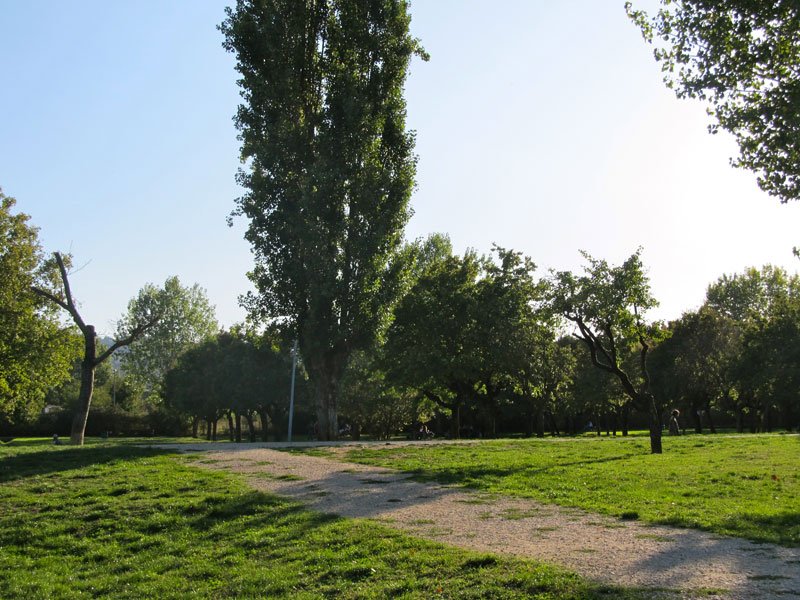 Parco dell'Acciaiolo