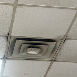 The ceiling tiles that need replacing.