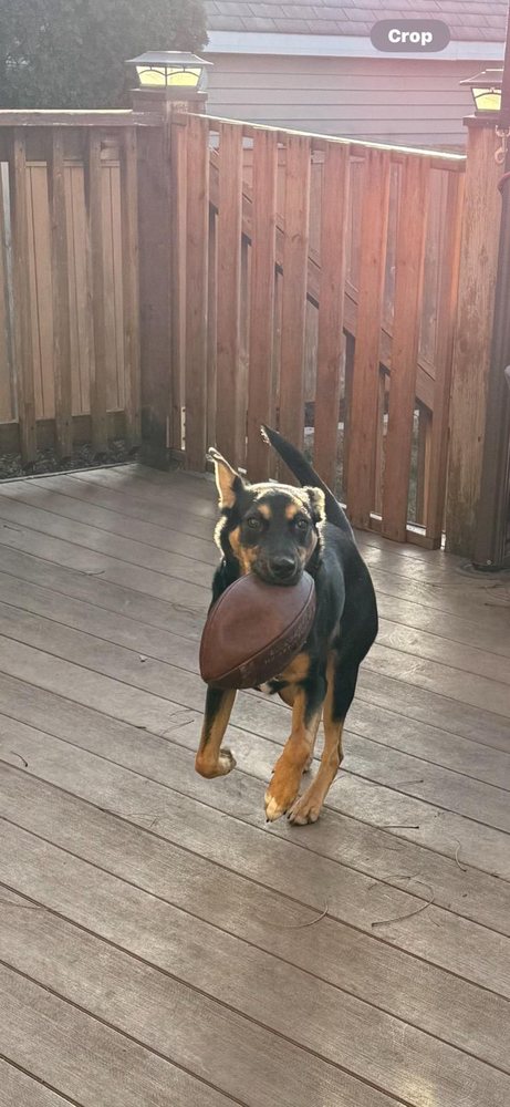 Center for Addictive Problems - grief counselor in Chicago, IL