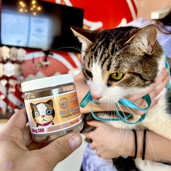 Celestial Stem - Celestial Stem CBD Cat Treats - Health Markets Near Me - Mesa, Arizona