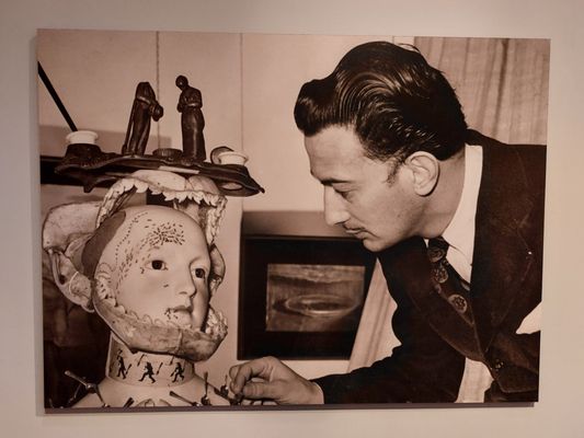 The Dalí Museum by null