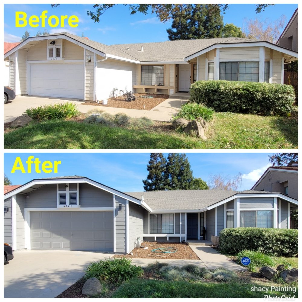 Photos of SHACY PAINTING & DECORATING Updated August 2024 64 Photos