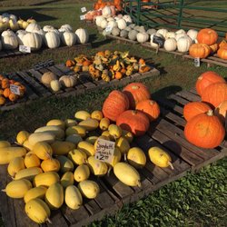 Kelp's Pumpkin Patch