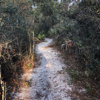 Maggy’s Hammock Park - Hiking Near Me - Stuart, Florida