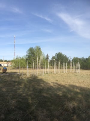 Inglewood Bird Sanctuary by null