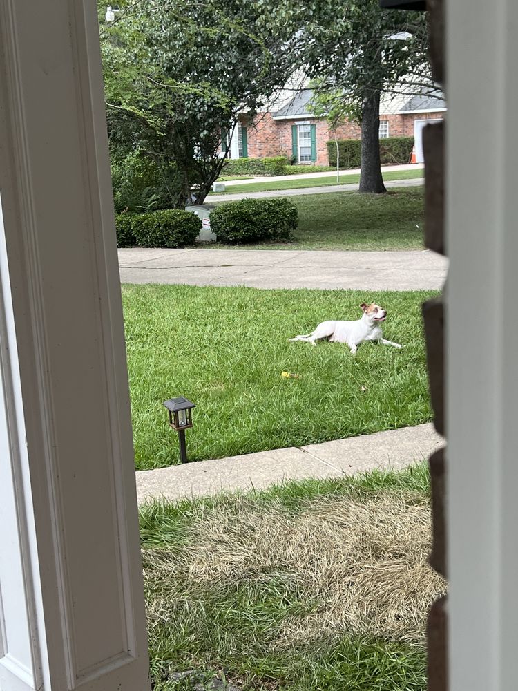 Slide of Visionaire Construction