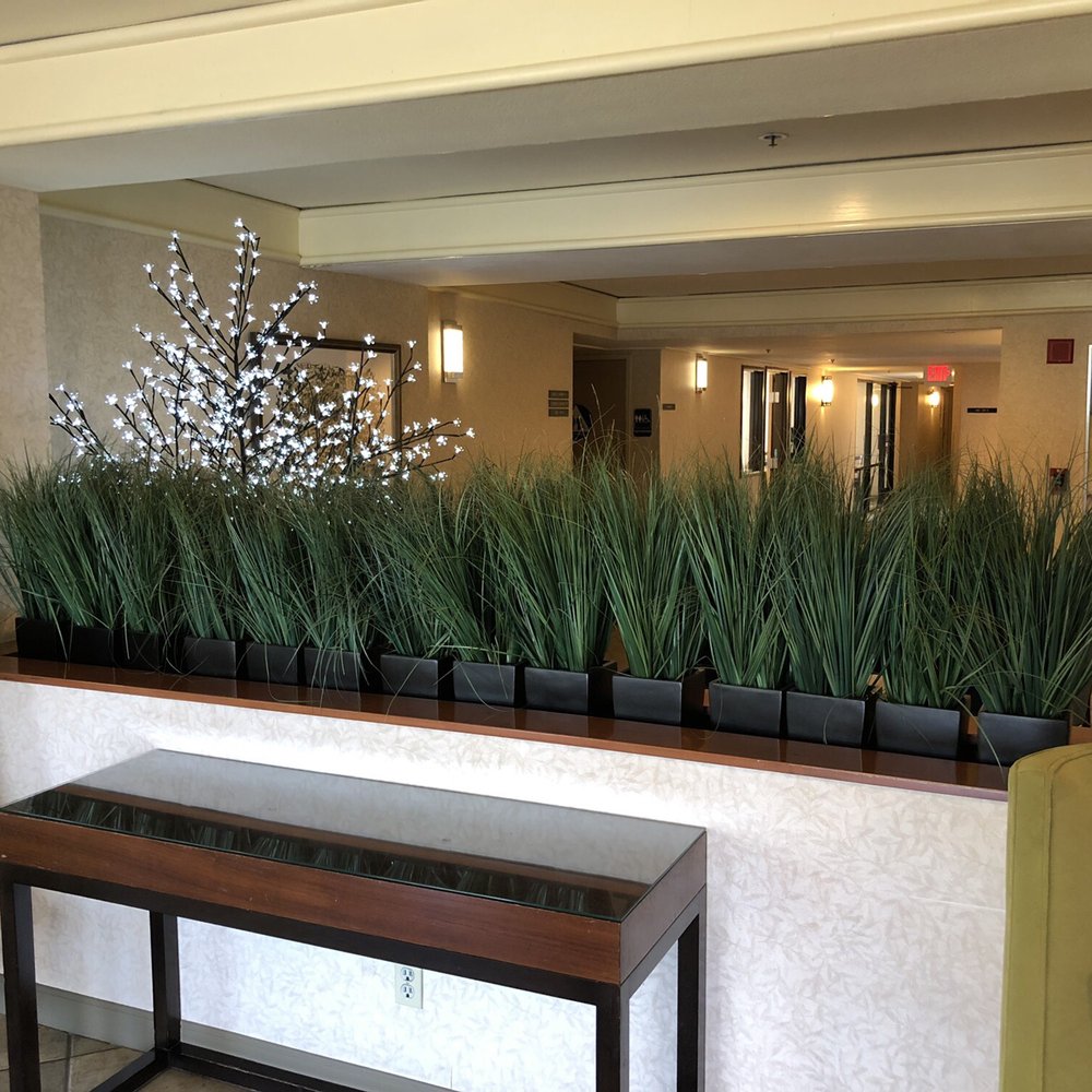 Maple Tree Inn - Hotels Near Me - Sunnyvale, California Maple Tree Inn - Hotels Near Me - Sunnyvale, California