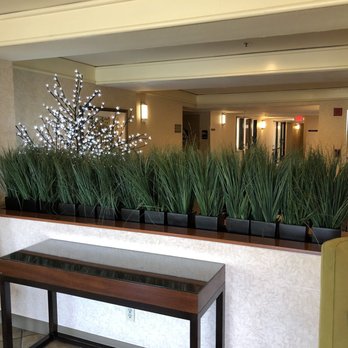 Maple Tree Inn - Hotels Near Me - Sunnyvale, California