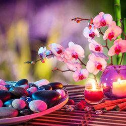 Cherry Massage Spa - Cherry massage spa